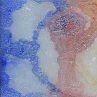 snow code / sheep sleep